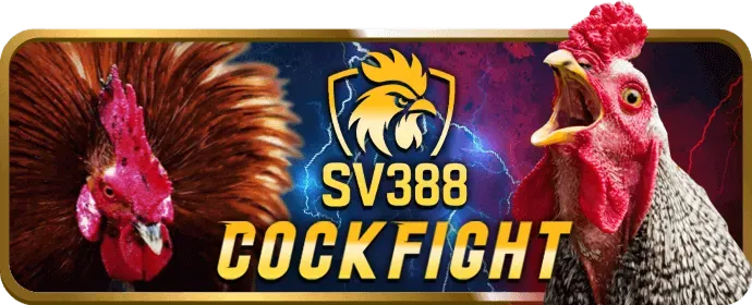 Giao diện ứng dụng awin456 win trên điện thoại di động